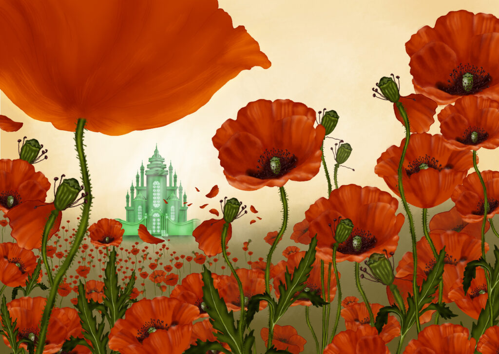 papaveri e città smeraldo